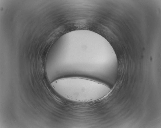 X0000067480136200604070937