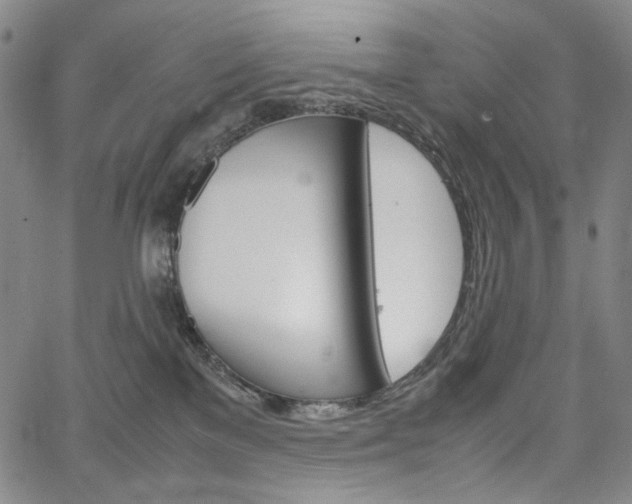 X0000067480137200604070937