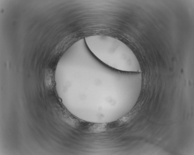 X0000067480138200604070937