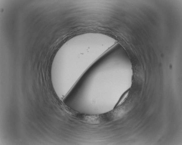 X0000067480139200604070937