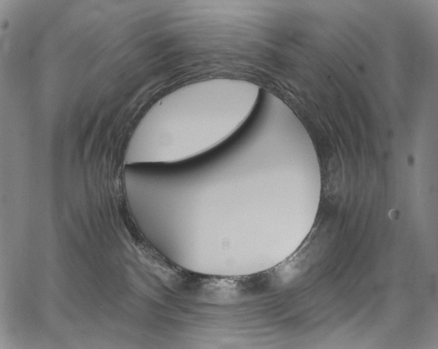 X0000067480140200604070937