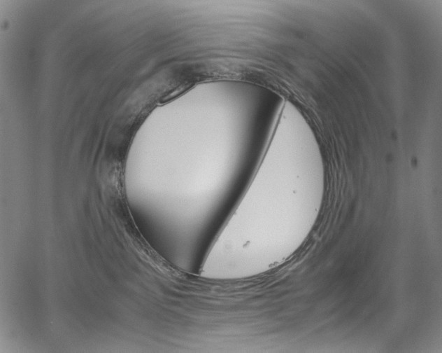 X0000067480141200604070937