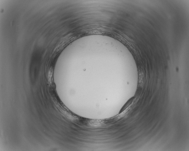 X0000067480142200604070937