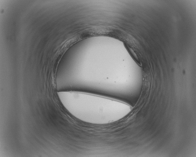 X0000067480143200604070937