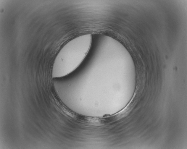 X0000067480144200604070937