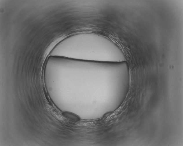 X0000067480147200604070936