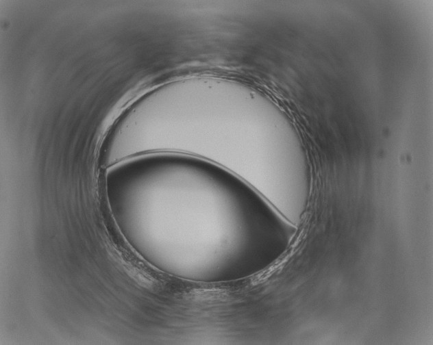 X0000067480150200604070936