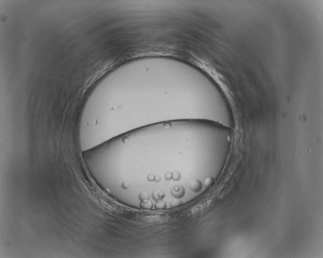 X0000067480153200604070936