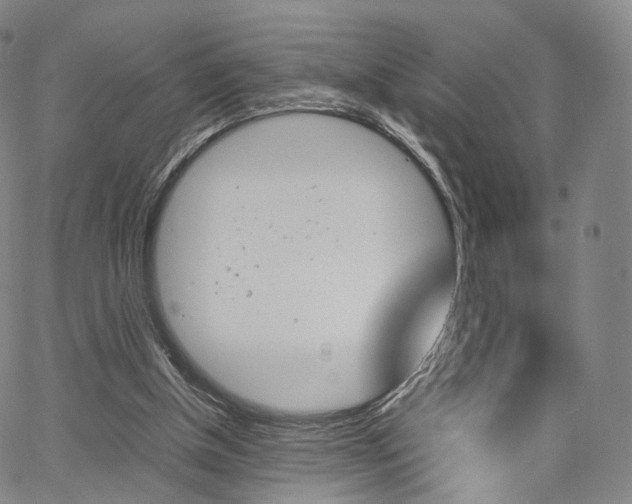 X0000067480154200604070936