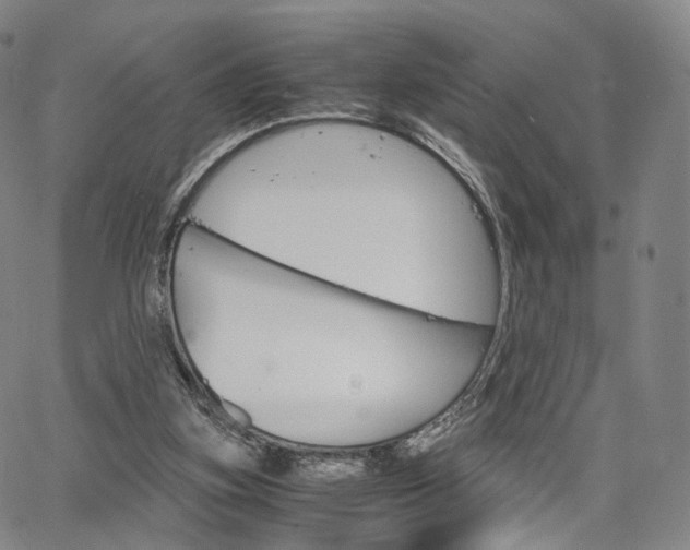 X0000067480155200604070936