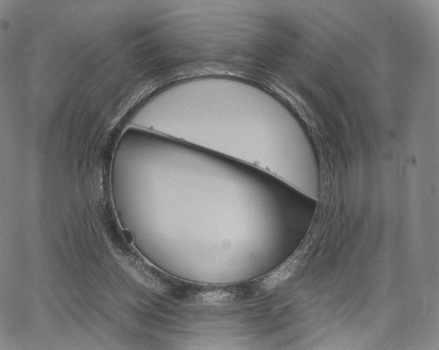 X0000067480158200604070936