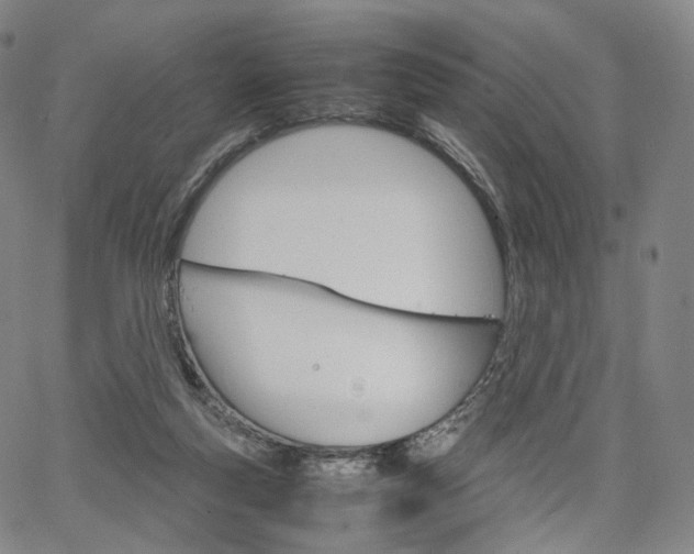 X0000067480163200604070936