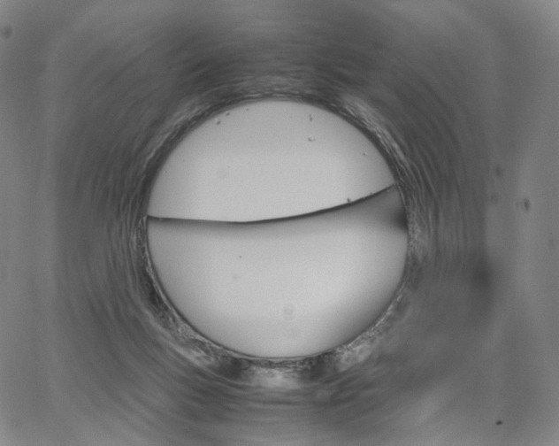 X0000067480167200604070937