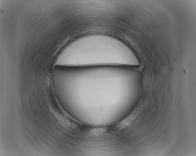 X0000067480168200604070937