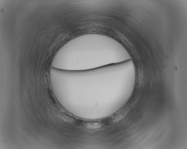 X0000067480169200604070937