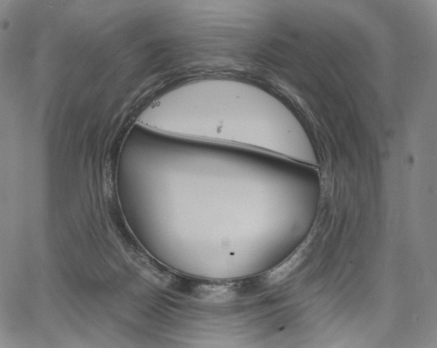 X0000067480170200604070937