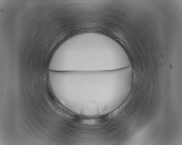 X0000067480171200604070937