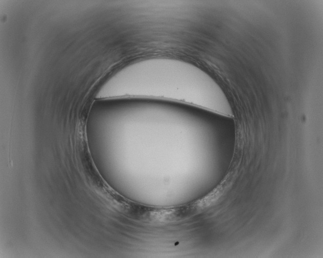 X0000067480172200604070937