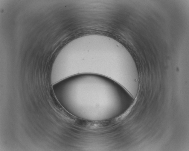 X0000067480174200604070937