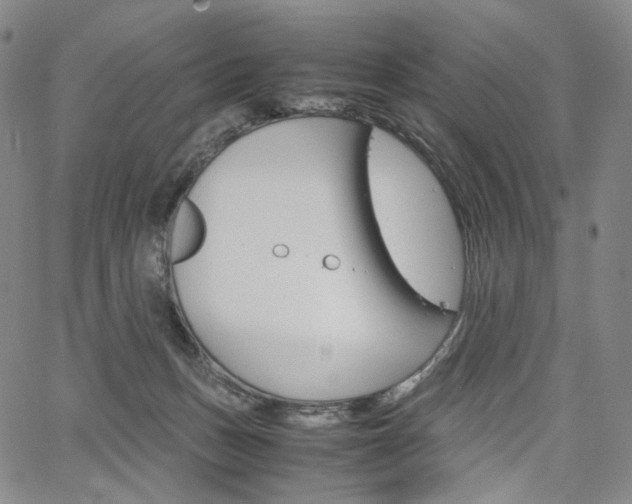 X0000067480175200604070937