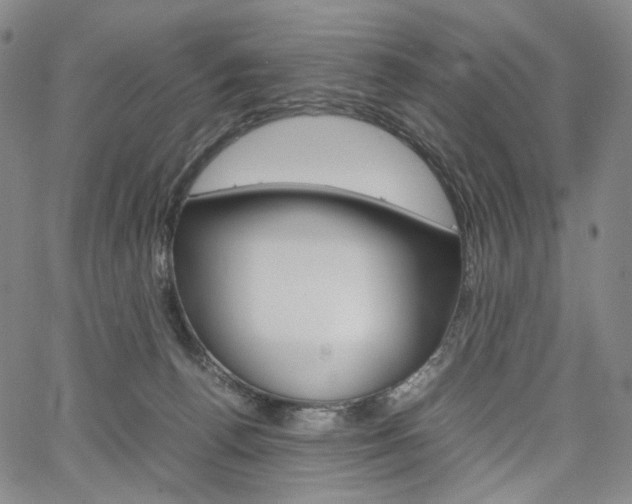 X0000067480176200604070937