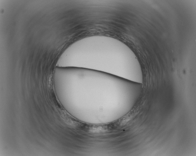 X0000067480177200604070937