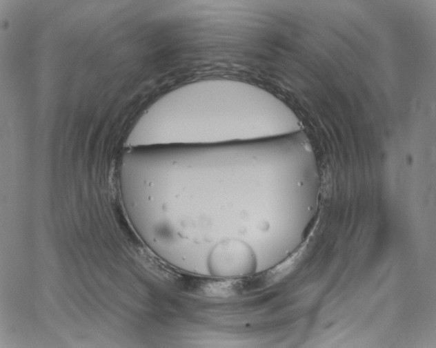 X0000067480178200604070937