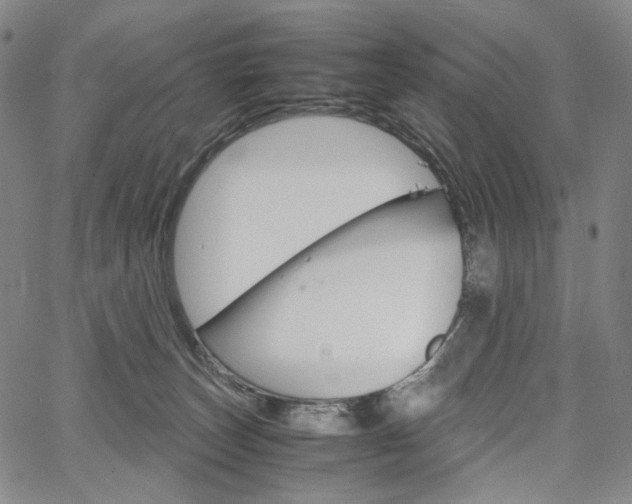 X0000067480179200604070937