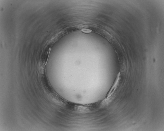 X0000067480180200604070937