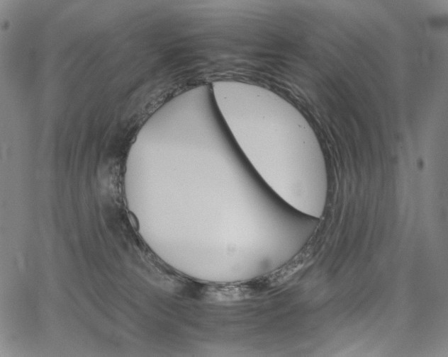 X0000067480181200604070937