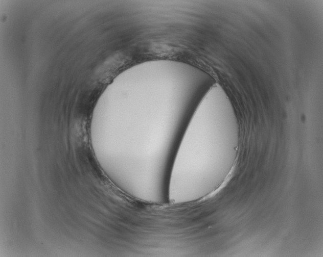 X0000067480182200604070937