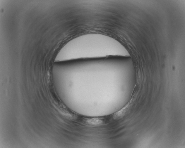 X0000067480183200604070937