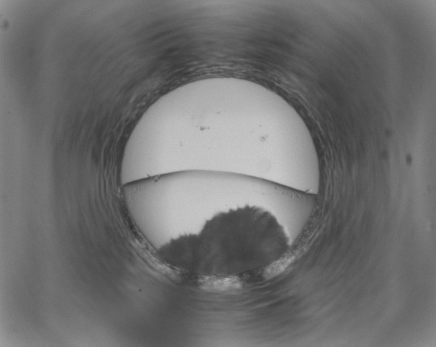 X0000067480185200604070937