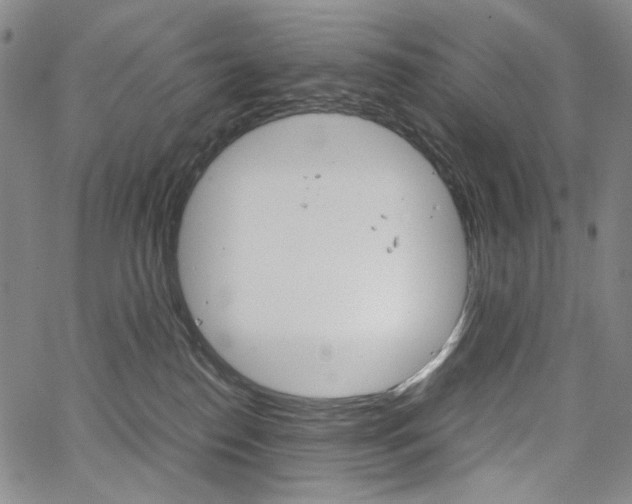 X0000067480186200604070937