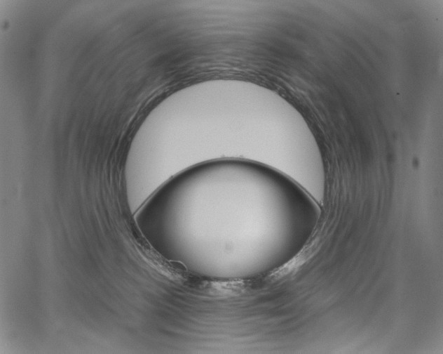 X0000067480188200604070937