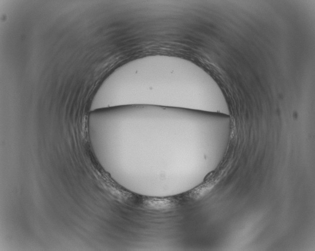 X0000067480189200604070937