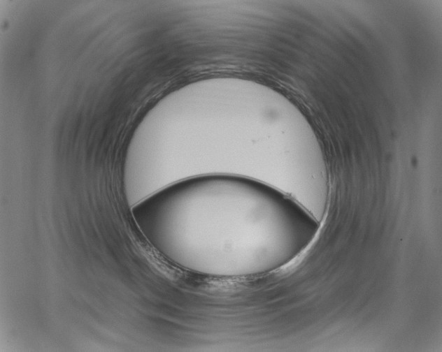 X0000067480190200604070937