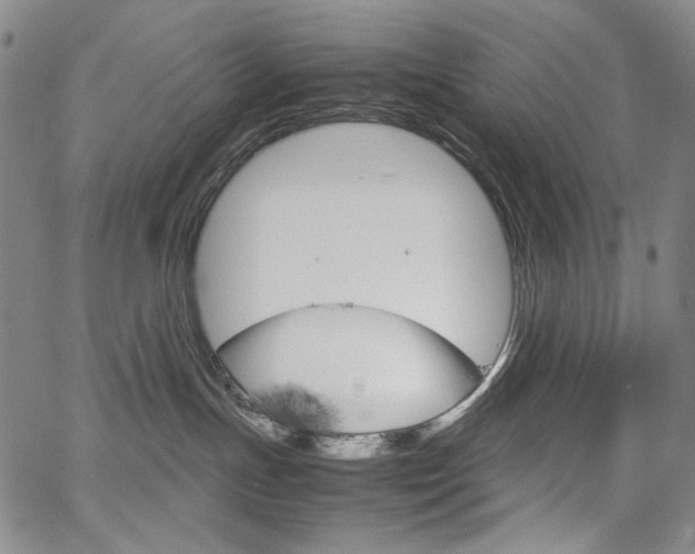 X0000067480191200604070937