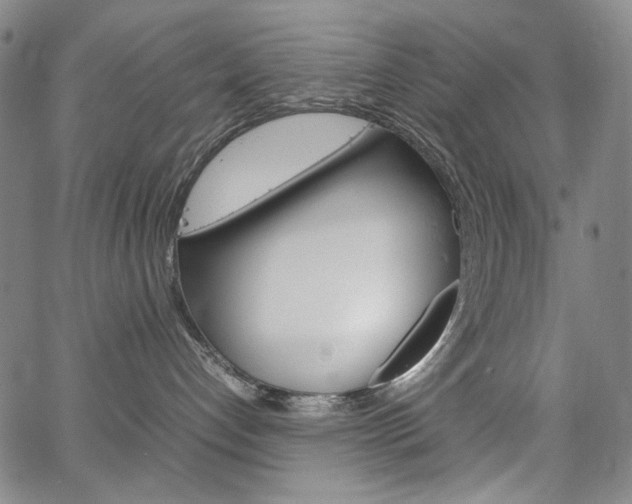 X0000067480192200604070937