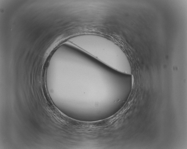 X0000067480195200604070936