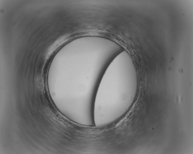 X0000067480198200604070936