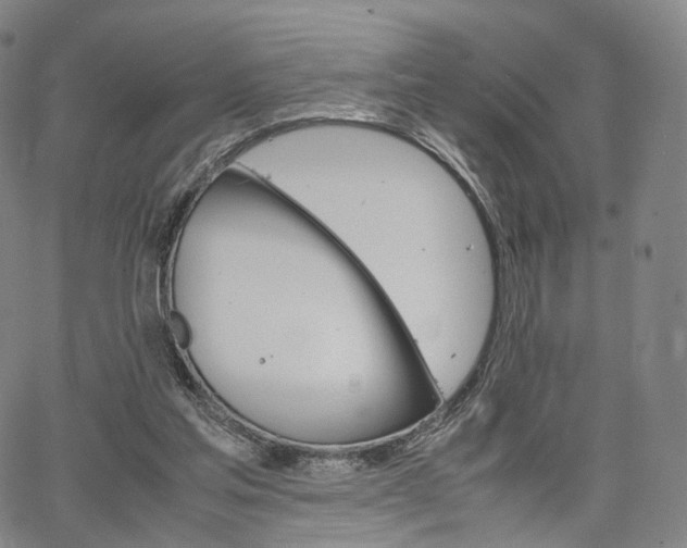 X0000067480205200604070936