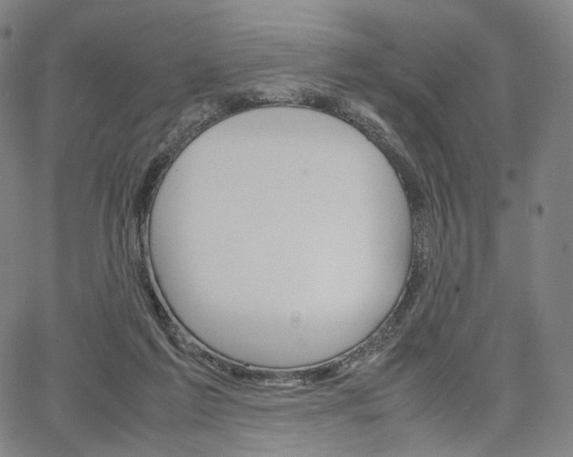 X0000067480213200604070936