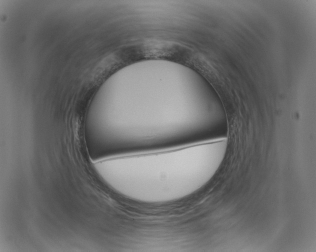 X0000067480219200604070936