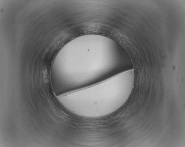 X0000067480224200604070936