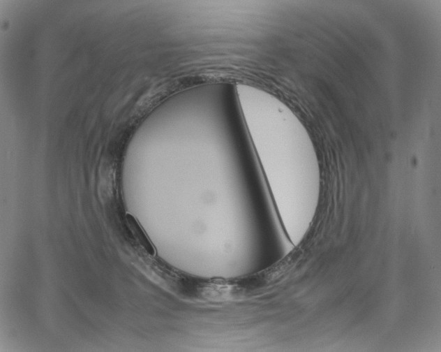 X0000067480227200604070935