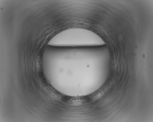 X0000067480228200604070935