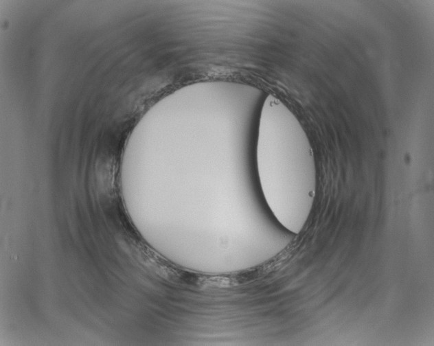 X0000067480230200604070935