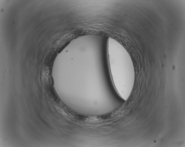 X0000067480231200604070935