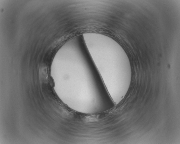 X0000067480232200604070935